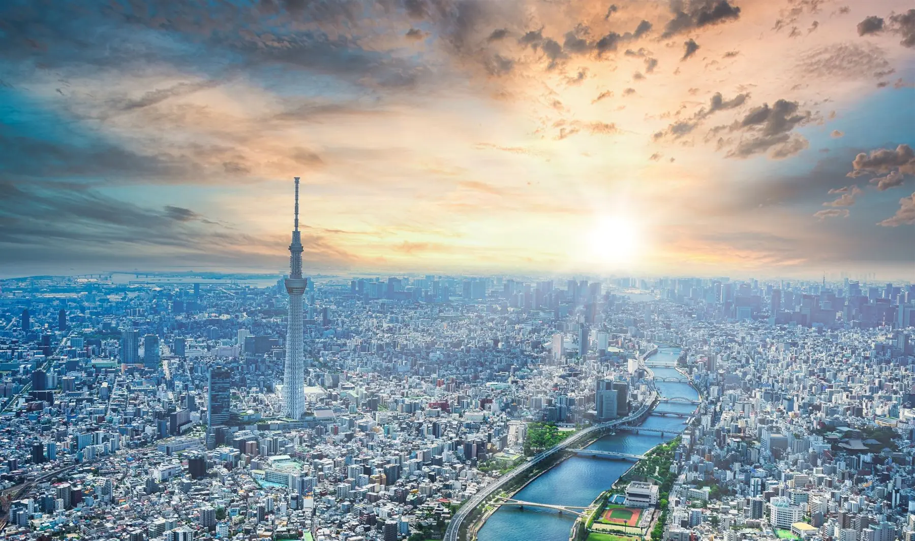 Tokyo skyline at sunrise